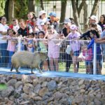 Conmemora Municipio de Aguascalientes el «Día de las y los Niños» en el Parque Hidalgo