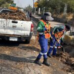 Intensifica Municipio limpieza de caimanes y canaletas