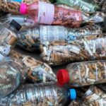 Invita MIAA a sumarse a la recolección masiva de colillas en el marco del Día Mundial sin tabaco