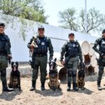 Policía municipal da la bienvenida a nuevos integrantes caninos del Grupo K9