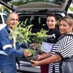 Inicia la donación anual de plantas y árboles en el Vivero Municipal