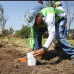 SEMADESU realiza Jornada de Reforestación en el Área Natural Protegida «La Pona»