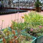 Reconocen al Instituto Municipal de Planeación y Evaluación por prácticas de cuidado ambiental