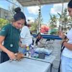 Nuevas fechas de la Clínica Veterinaria Móvil en comunidades rurales
