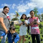 Realizarán reforestación comunitaria en la Línea Verde