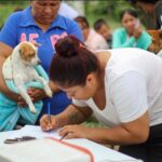 Llevarán el quirófano veterinario móvil al parque de La Barranca