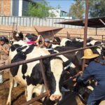 Concluye Municipio de Aguascalientes primera etapa de la Clínica Veterinaria Ambulatoria 2025