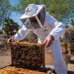 Productores de miel reciben equipo y suplementos alimenticios para fortalecer sus actividades