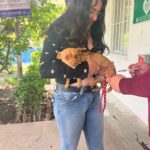 Protege a tus mascotas con vacunas gratuitas, del 17 al 23 de mayo