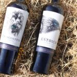 Vinos de Aguascalientes conquistan España con medallas internacionales 