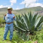 Aguascalientes impulsa a sus productores de mezcal para llevar sus marcas a nuevos mercados