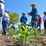 Con las lluvias y semilla certificada, llegan nuevas oportunidades para productores como José