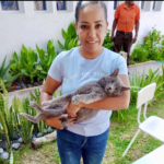 Anuncian municipio e ISSEA jornadas de esterilización canina y felina en Pirules y La Purísima