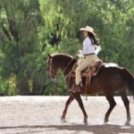 Todo listo para la gran cabalgata de la Feria Internacional del Caballo 2026
