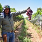 Productores de uva de Cosío podrán vender mejor sus cosechas con el apoyo de Tere Jiménez