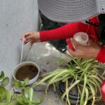 Refuerza Secretaría de Salud acciones preventivas contra el dengue en Aguascalientes 